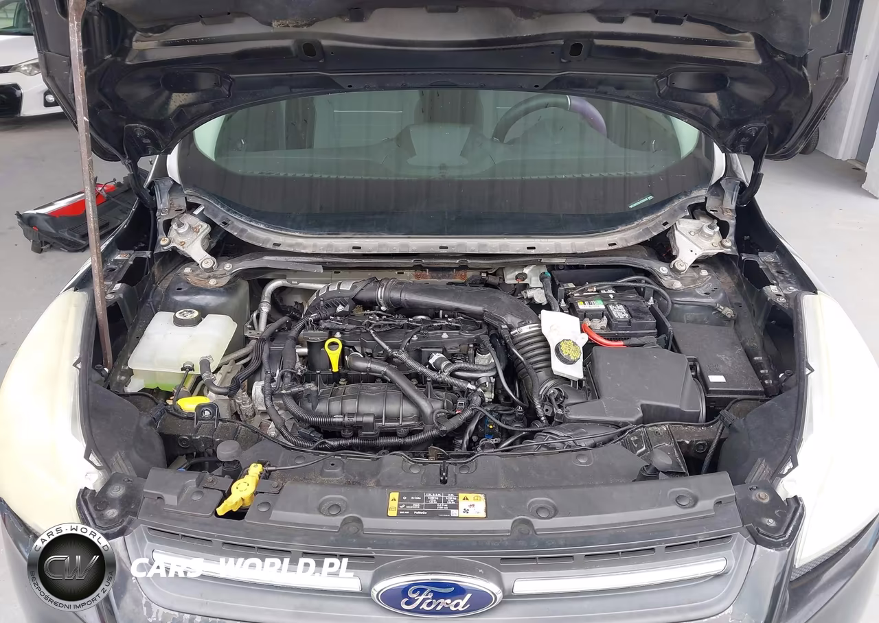 2014 Ford Escape Se VIN:1FMCU0GX9EUD59248 - 10