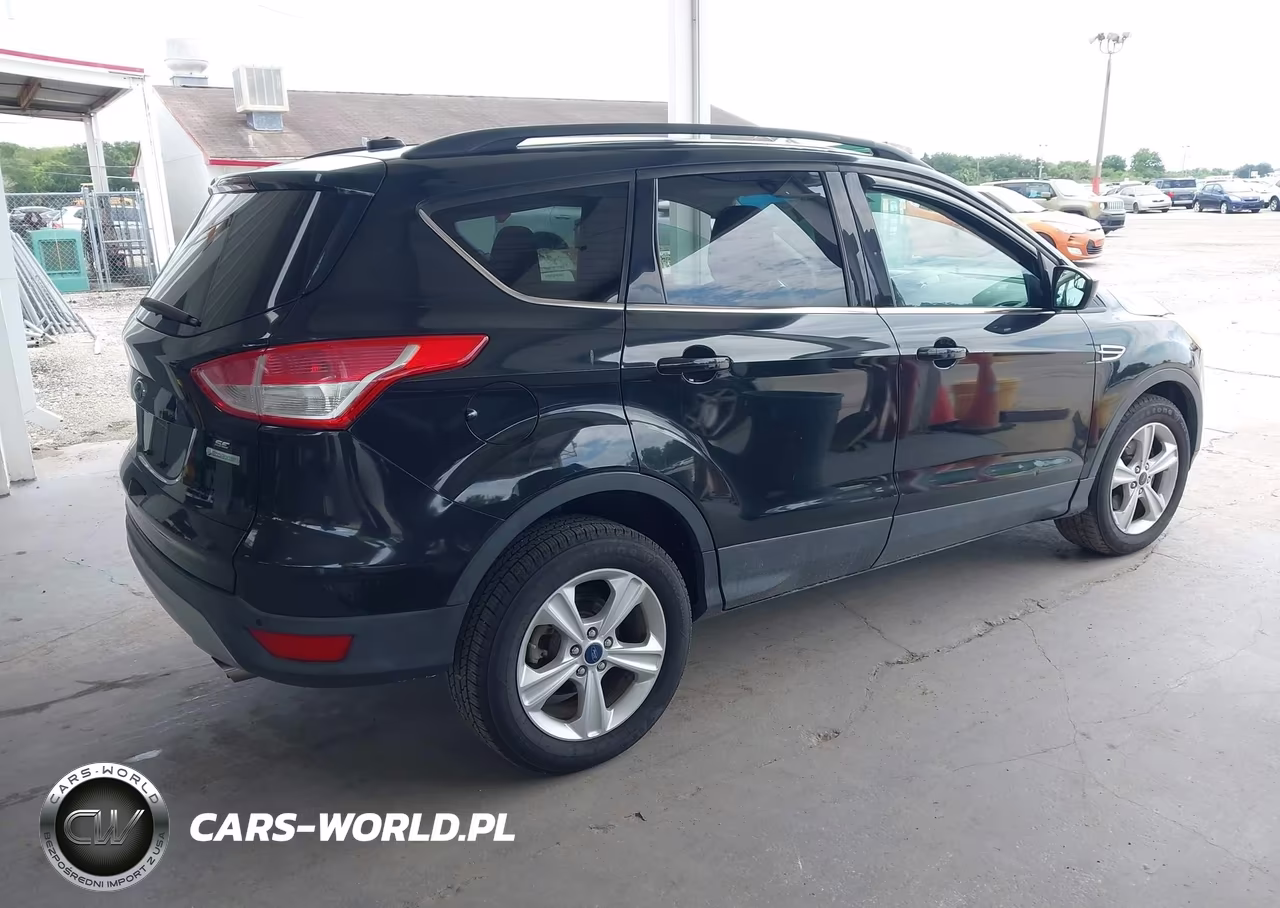 2014 Ford Escape Se VIN:1FMCU0GX9EUD59248 - 4