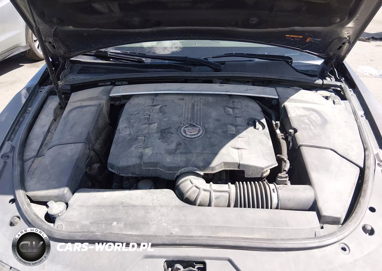 2011 Cadillac Cts Luxury VIN:1G6DG5EY0B0162127 - 10