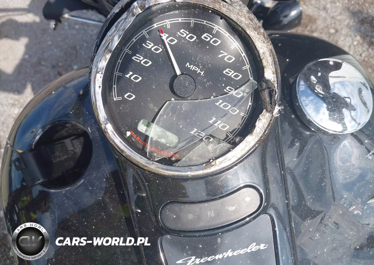 2024 Harley-Davidson Flrt VIN:1HD1MCP16RB855049 - 7