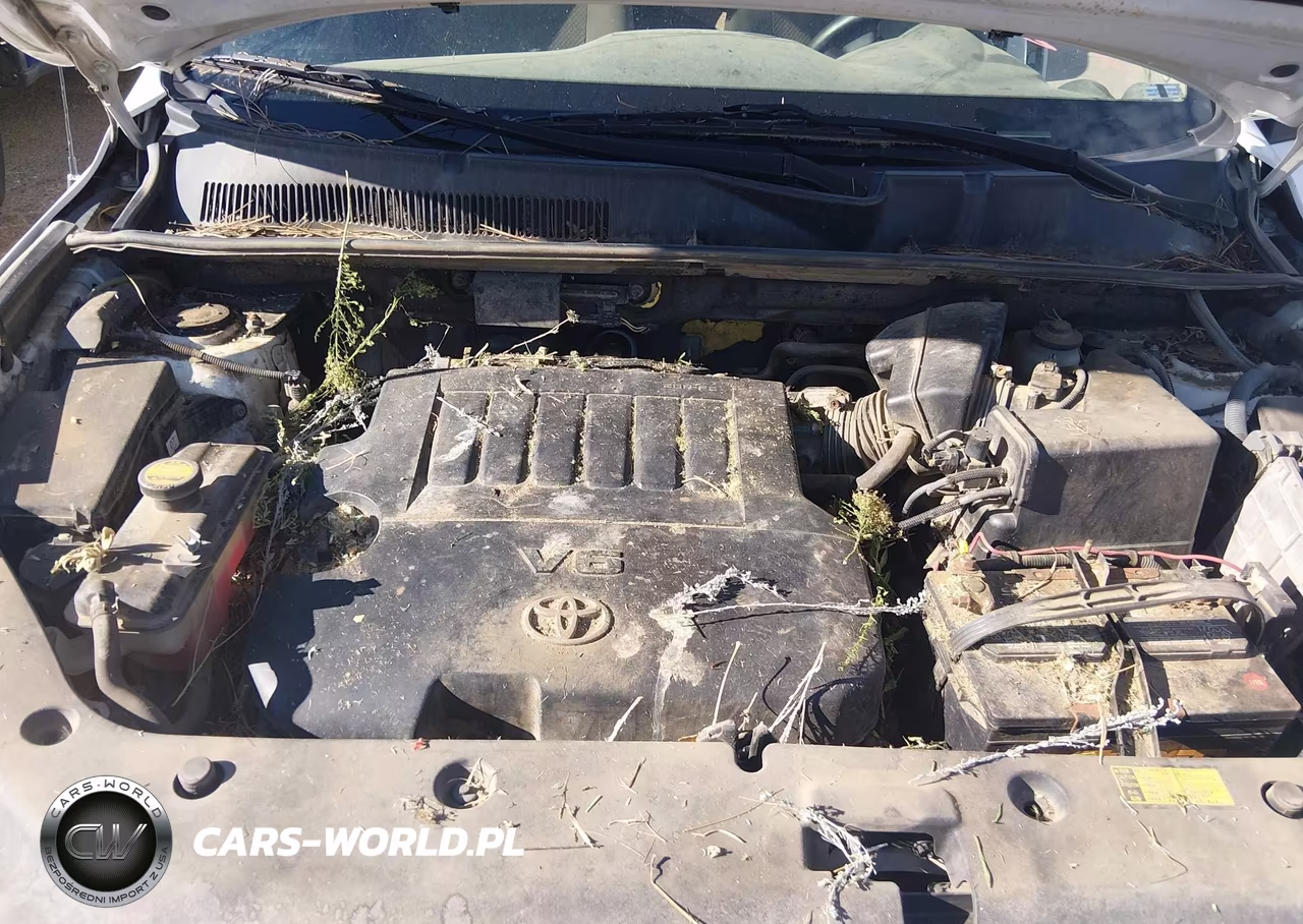 2006 Toyota Rav4 Base V6 VIN:JTMBK33V466006983 - 10