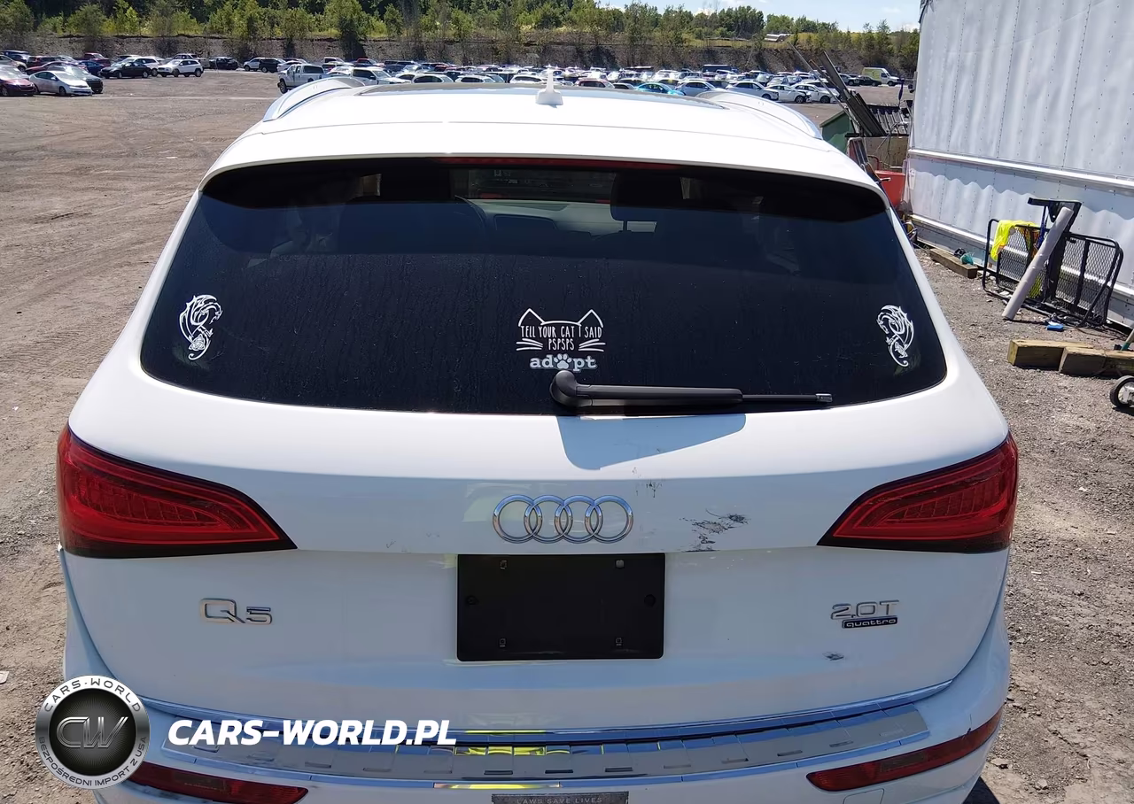 2016 Audi Q5 2.0T Premium VIN:WA1L2AFP8GA017306 - 16
