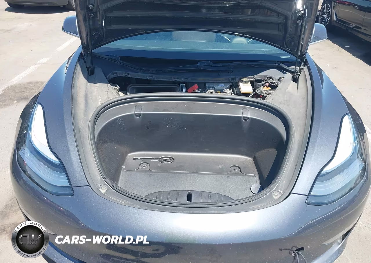 2019 Tesla Model 3 Long Range-Mid Range-Standard Range-Standard Range Plus VIN:5YJ3E1EAXKF400254 - 10