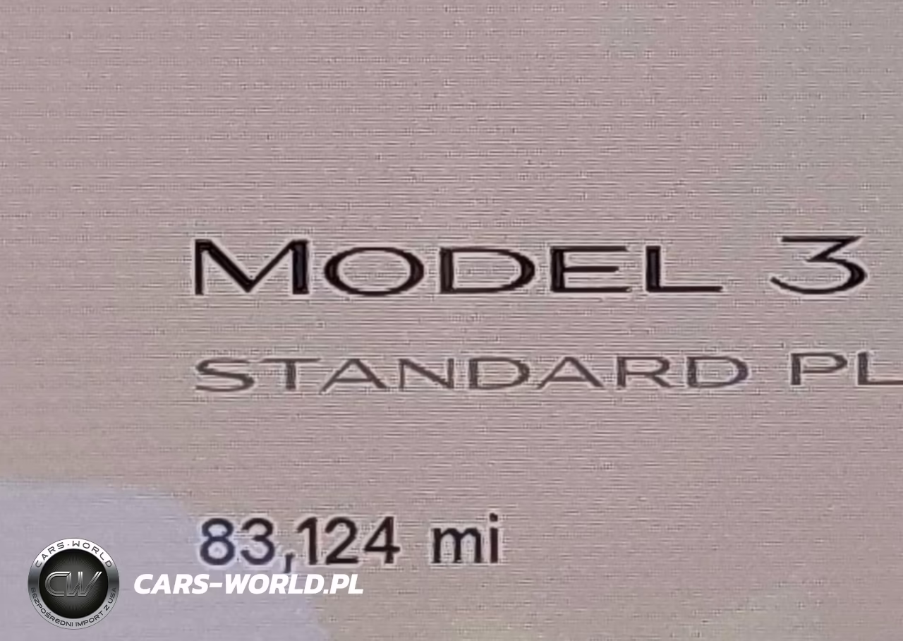 2019 Tesla Model 3 Long Range-Mid Range-Standard Range-Standard Range Plus VIN:5YJ3E1EAXKF400254 - 15
