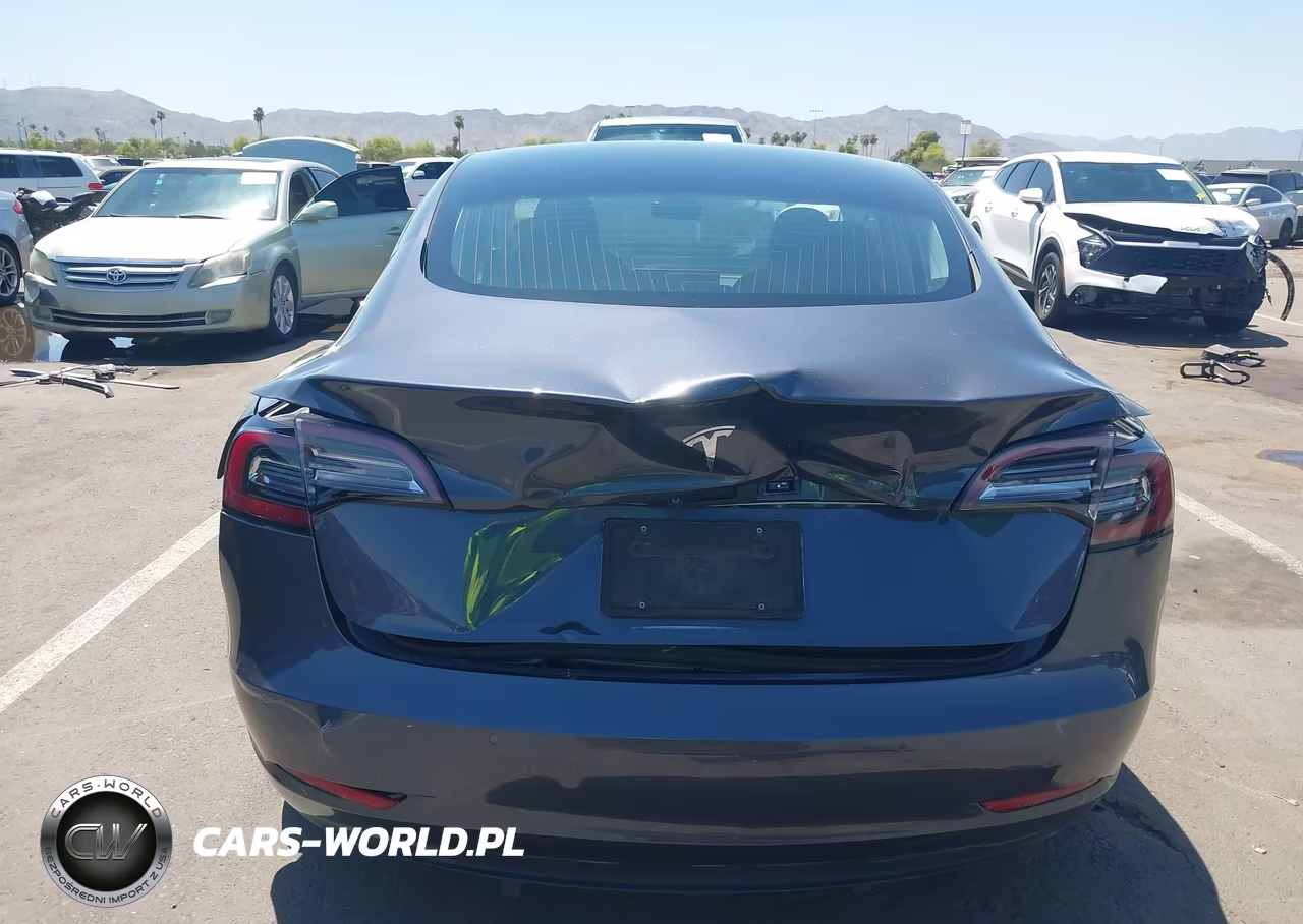 2019 Tesla Model 3 Long Range-Mid Range-Standard Range-Standard Range Plus VIN:5YJ3E1EAXKF400254 - 6