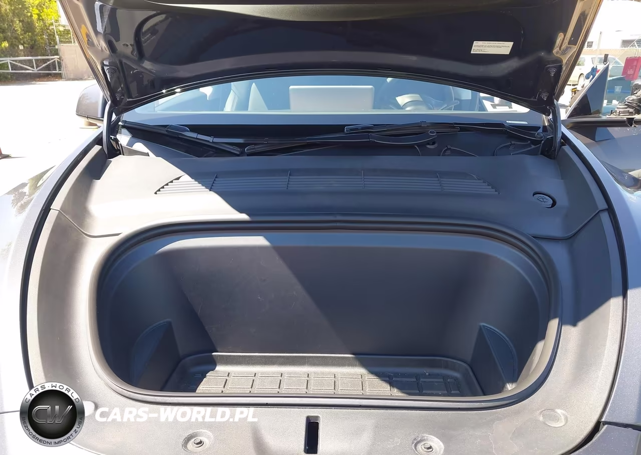 2023 Tesla Model Y Awd-Long Range Dual Motor All-Wheel Drive VIN:7SAYGDEE6PA194667 - 10