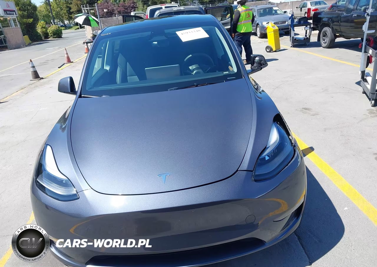 2023 Tesla Model Y Awd-Long Range Dual Motor All-Wheel Drive VIN:7SAYGDEE6PA194667 - 12