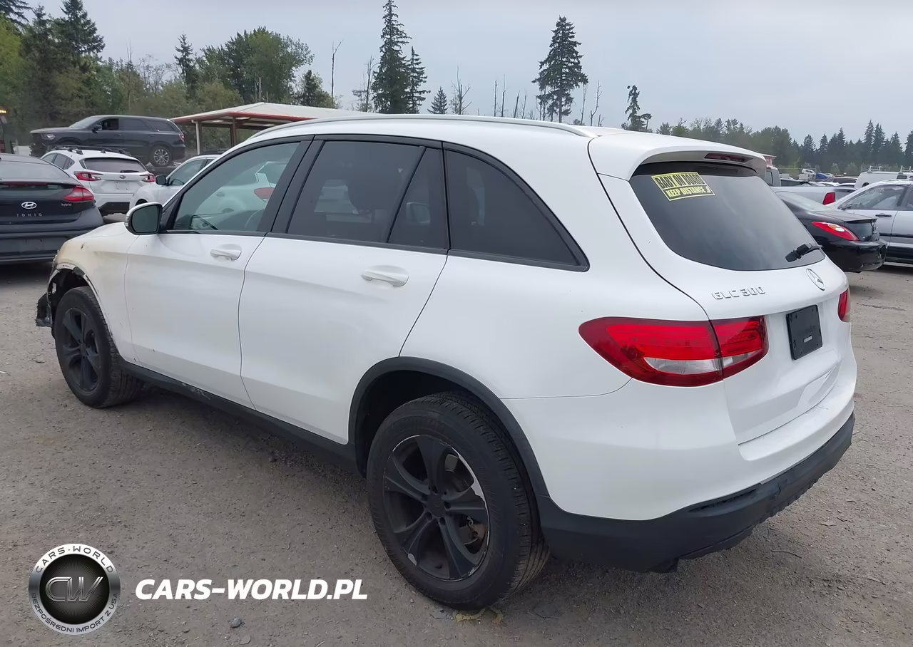 2016 Mercedes-Benz Glc 300 VIN:WDC0G4JB2GF070667 - 3