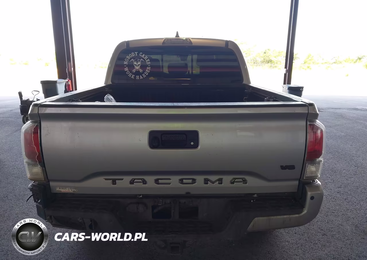 2020 Toyota Tacoma Trd Off-Road VIN:5TFCZ5AN0LX225850 - 17