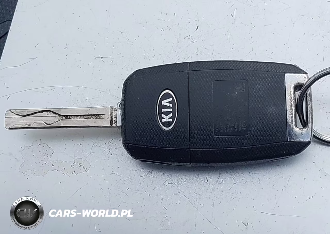 2017 Kia Sportage Lx VIN:KNDPM3AC6H7110065 - 11