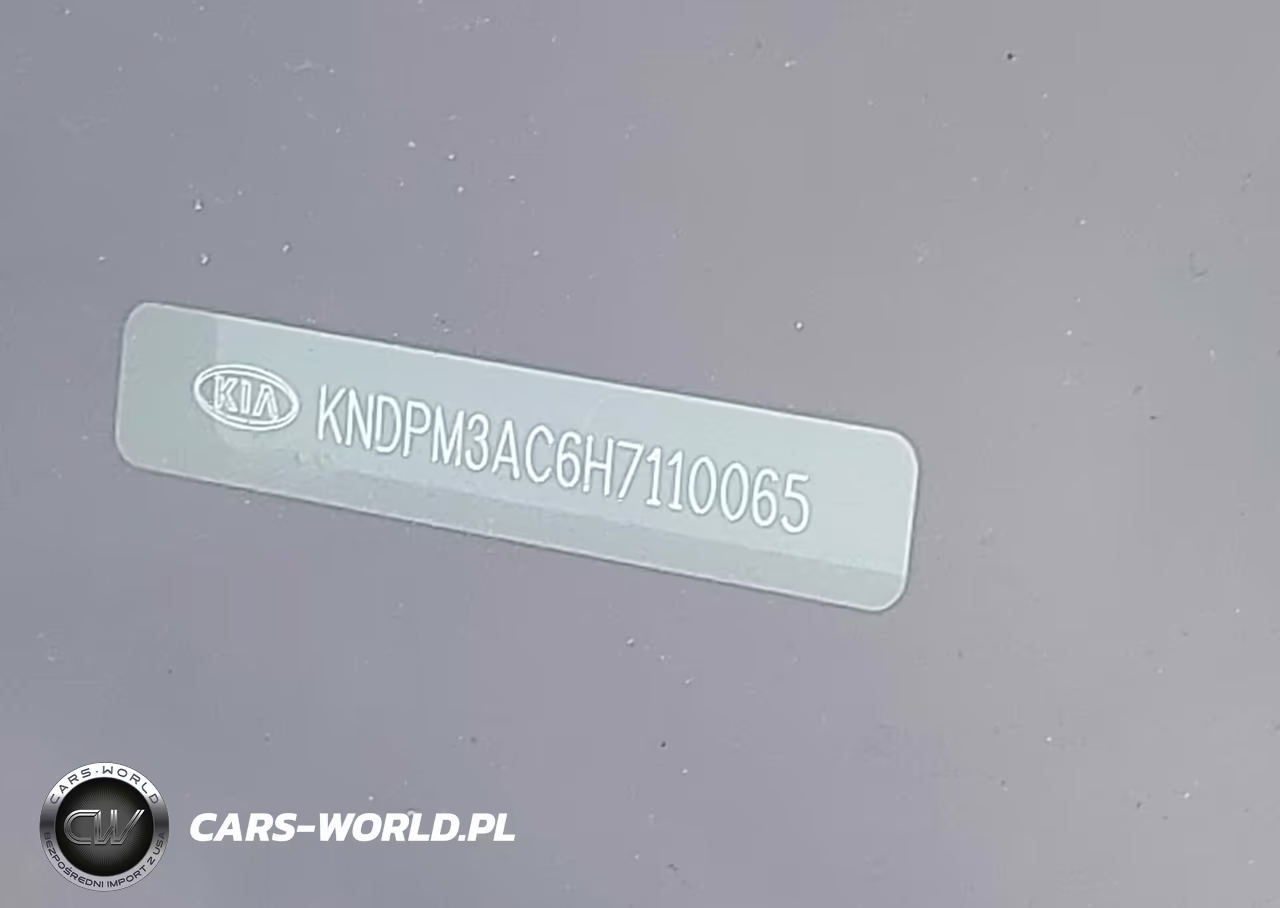 2017 Kia Sportage Lx VIN:KNDPM3AC6H7110065 - 9