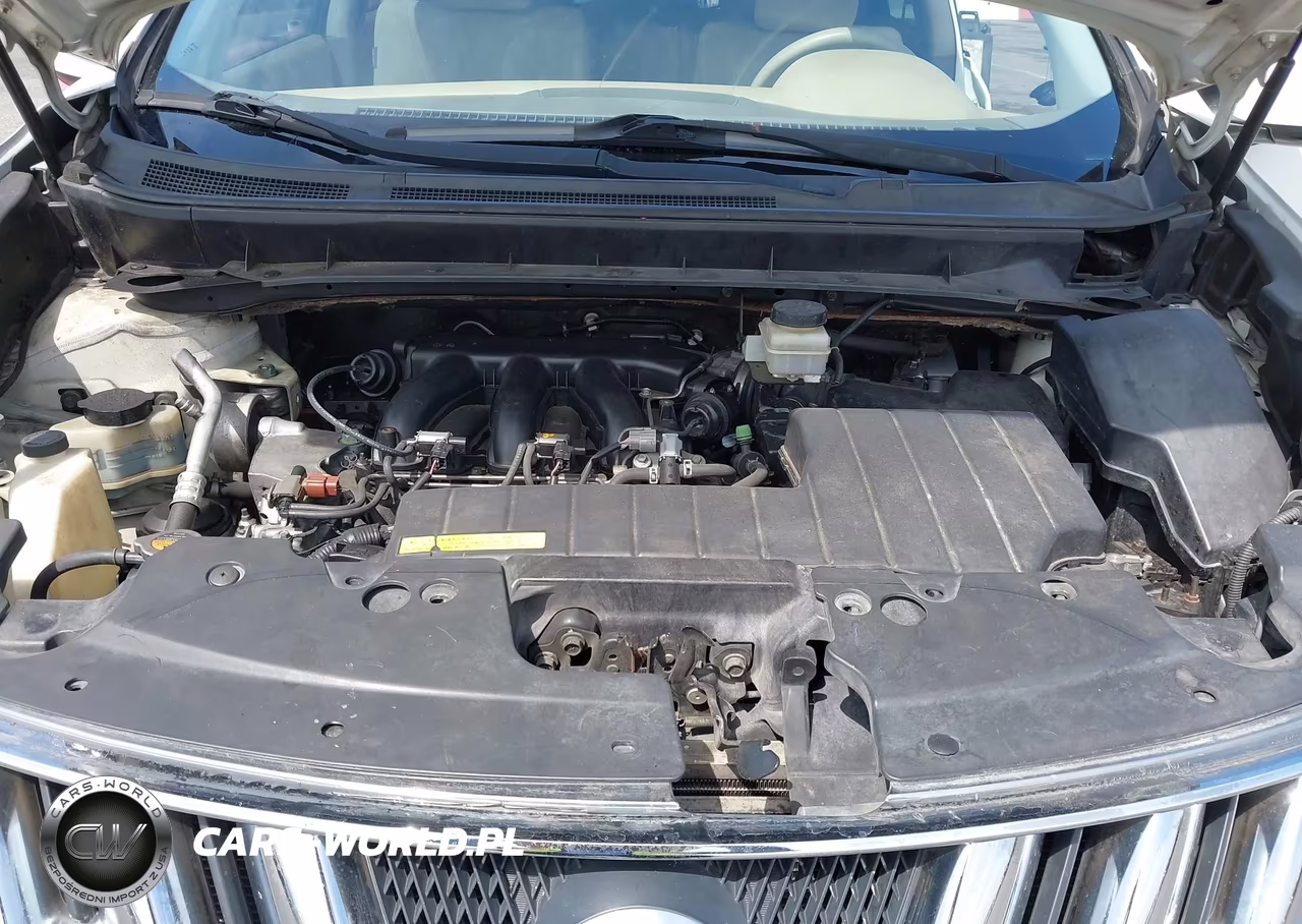 2010 Nissan Murano S VIN:JN8AZ1MU7AW017572 - 10