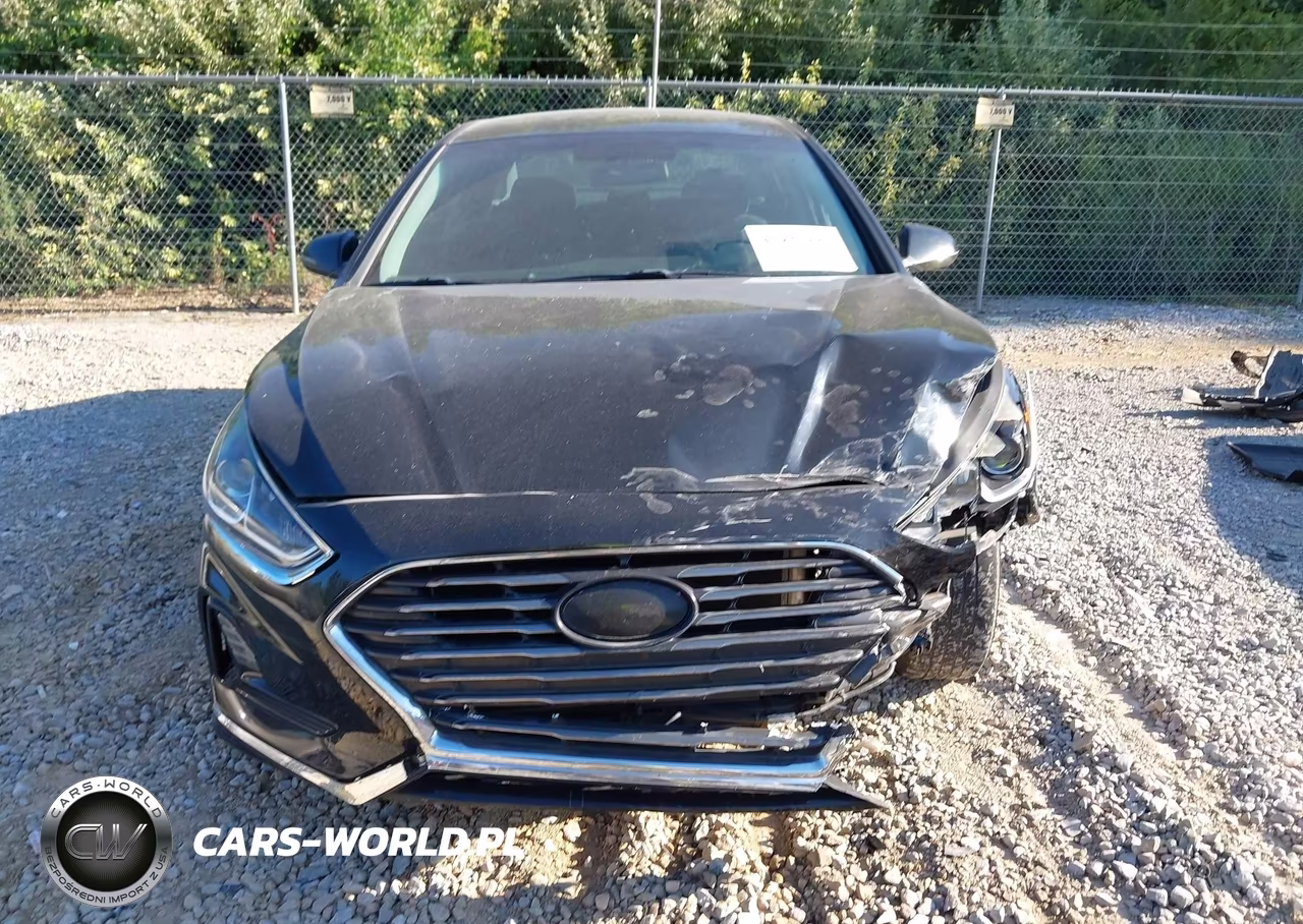 2019 Hyundai Sonata Se VIN:5NPE24AF9KH741487 - 13