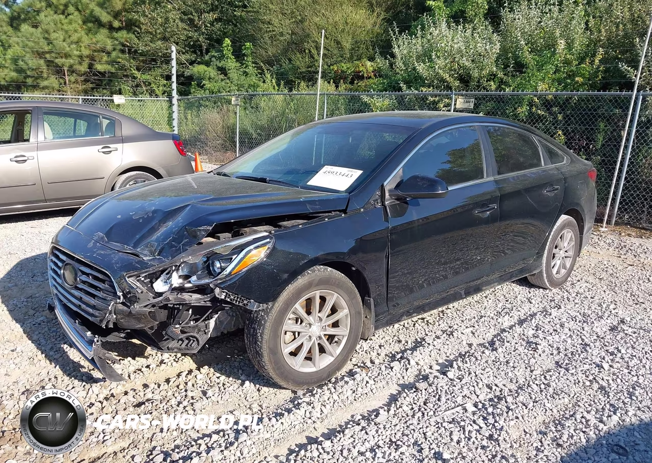 2019 Hyundai Sonata Se VIN:5NPE24AF9KH741487 - 2