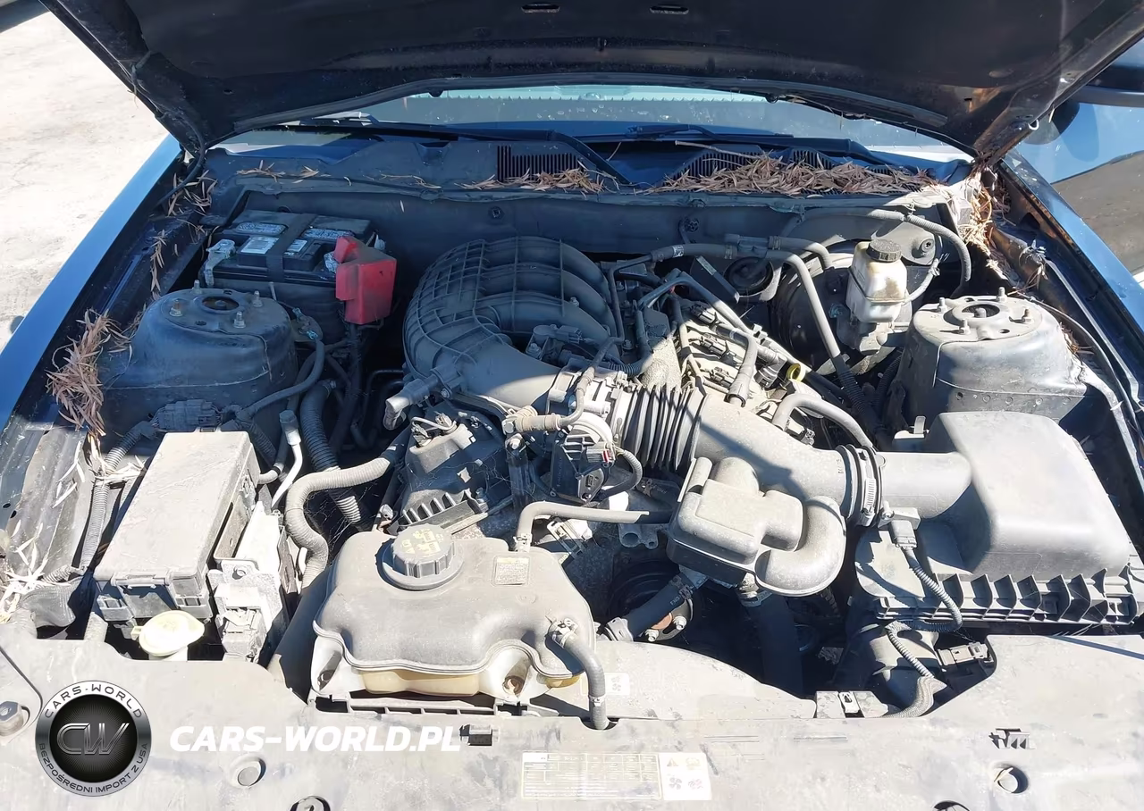 2011 Ford Mustang V6 Premium VIN:1ZVBP8AM5B5105236 - 10
