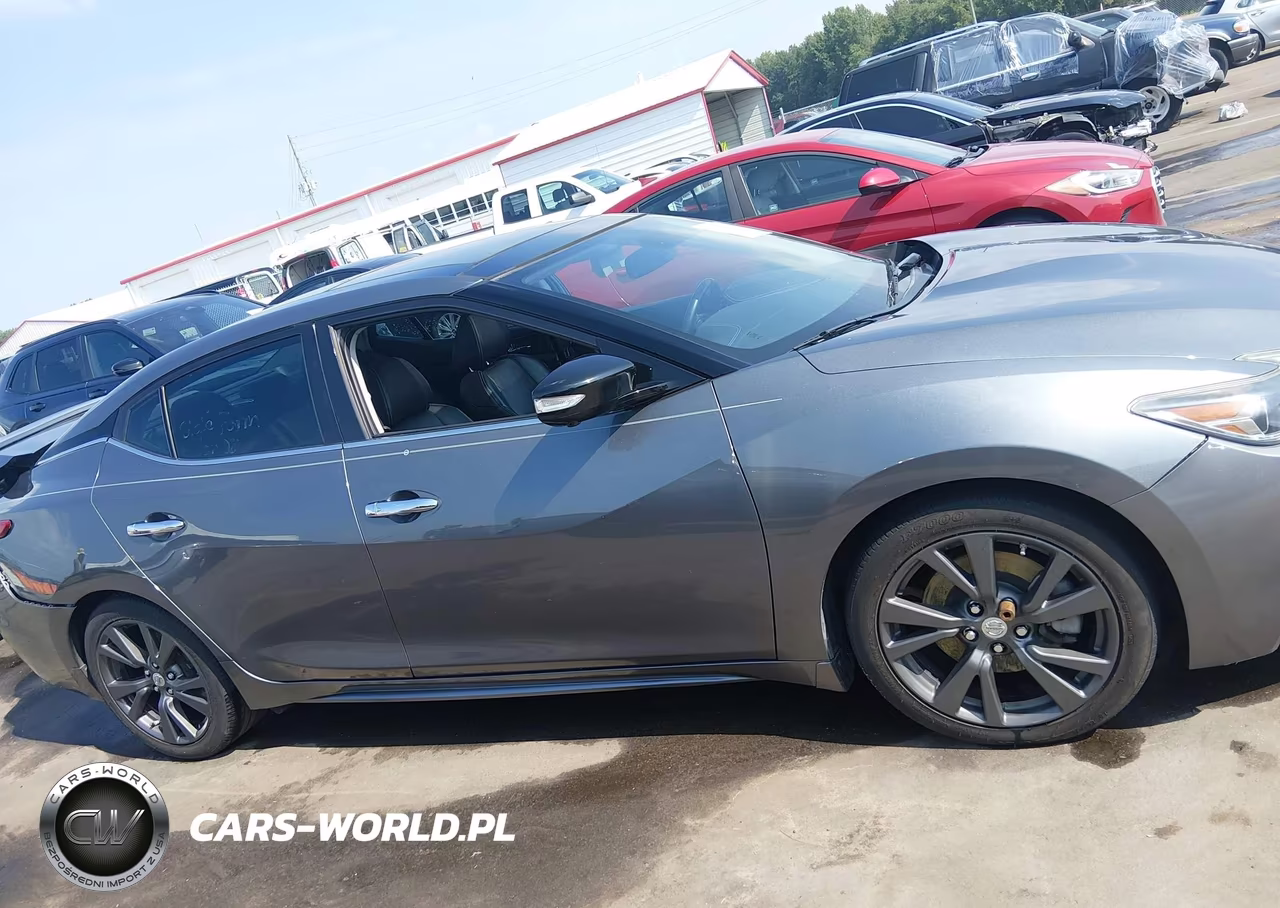 2017 Nissan Maxima 3.5 Platinum VIN:1N4AA6AP8HC406964 - 13