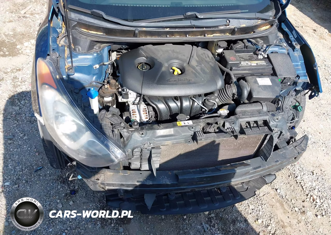 2014 Hyundai Elantra Gt VIN:KMHD35LH5EU222360 - 10