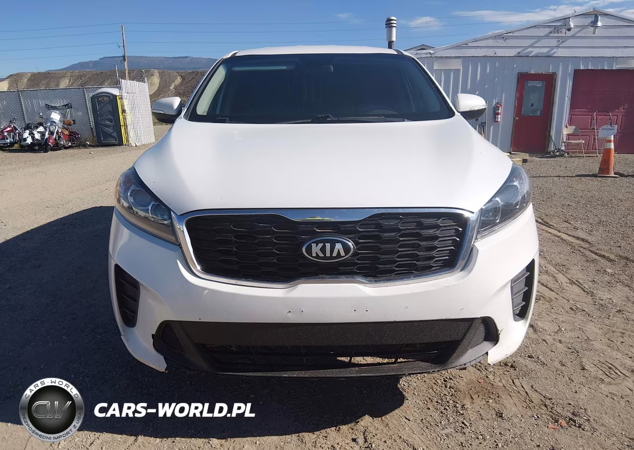 2020 Kia Sorento 3.3L Lx VIN:5XYPG4A53LG644764 - 12