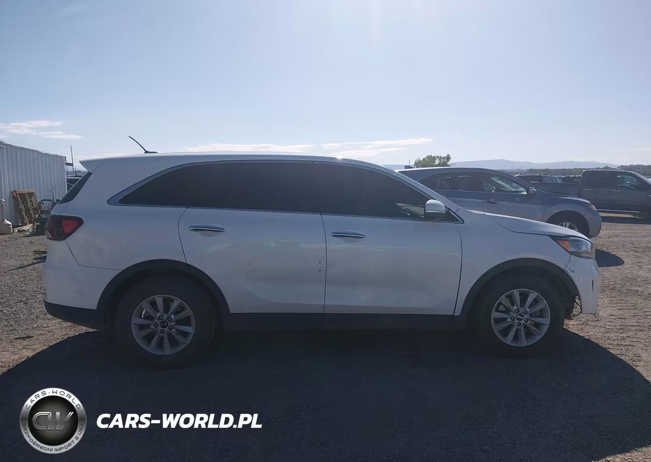 2020 Kia Sorento 3.3L Lx VIN:5XYPG4A53LG644764 - 13
