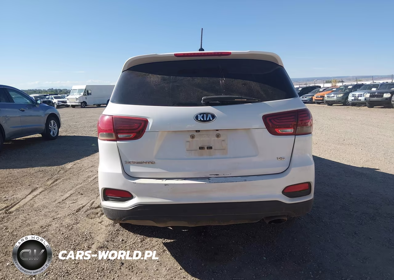 2020 Kia Sorento 3.3L Lx VIN:5XYPG4A53LG644764 - 16