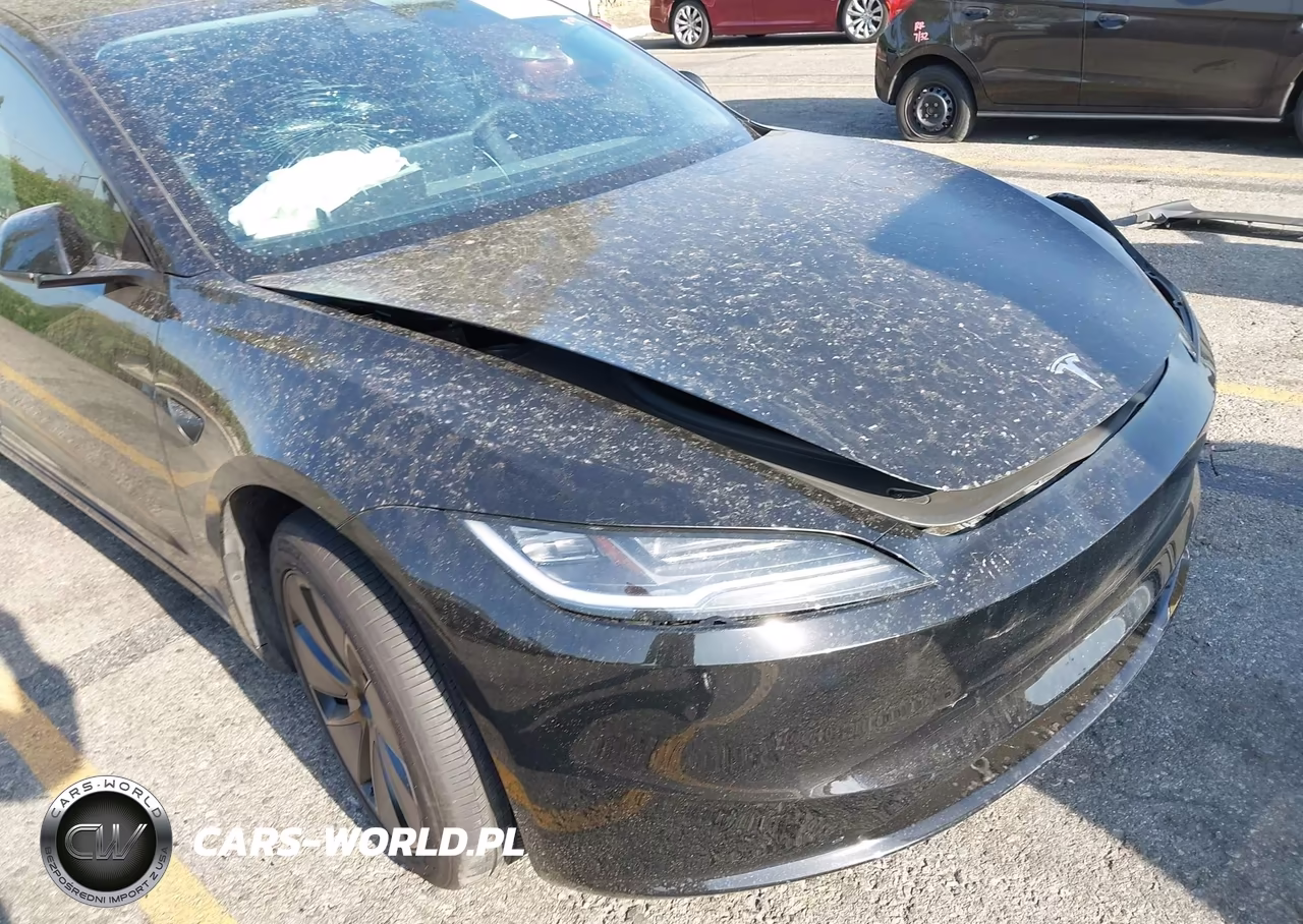 2025 Tesla Model 3 Long Range Rear-Wheel Drive-Standard Rear-Wheel Drive VIN:5YJ3E1EA3SF051888 - 15