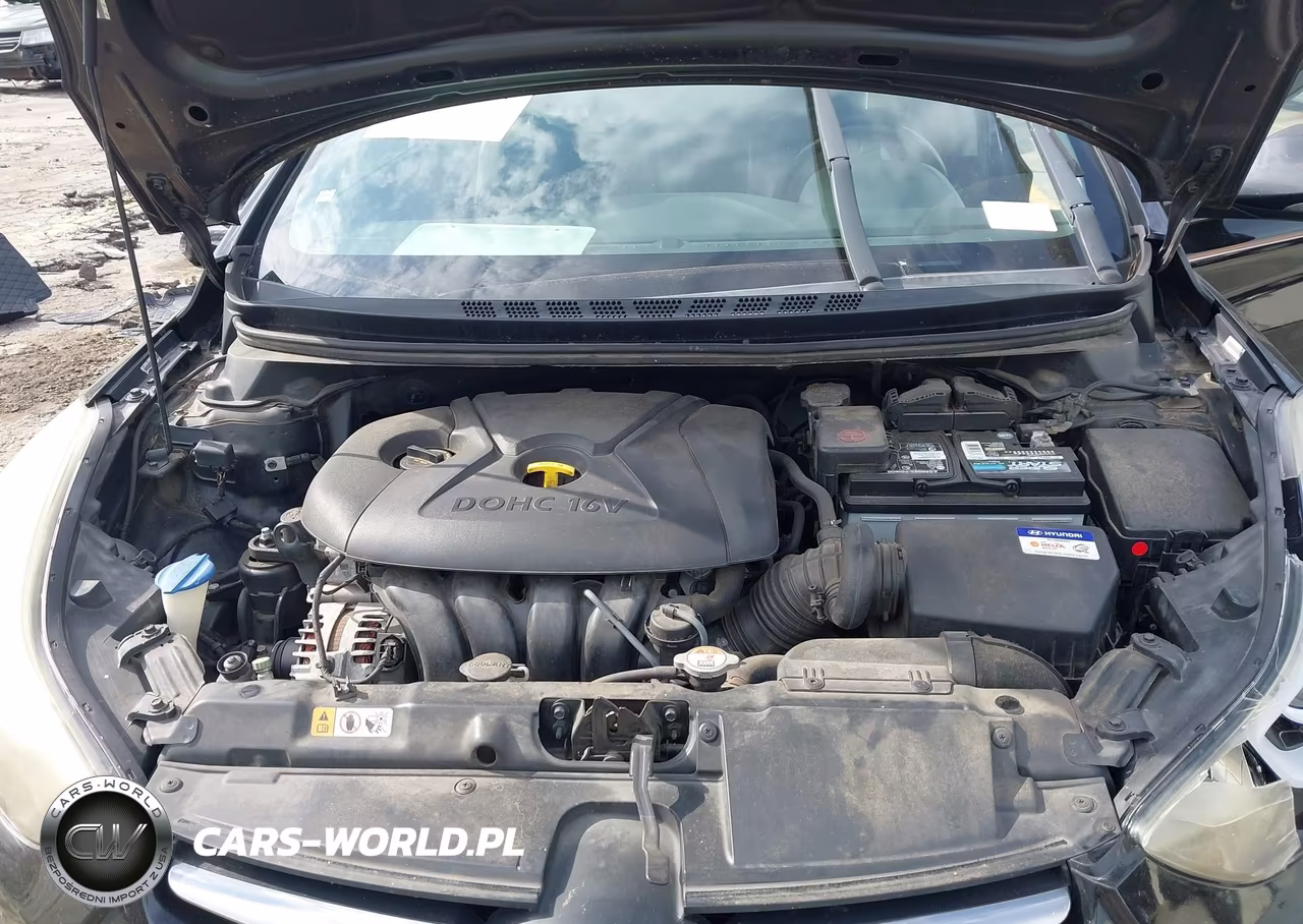 2014 Hyundai Elantra Limited VIN:KMHDH4AE3EU046218 - 10