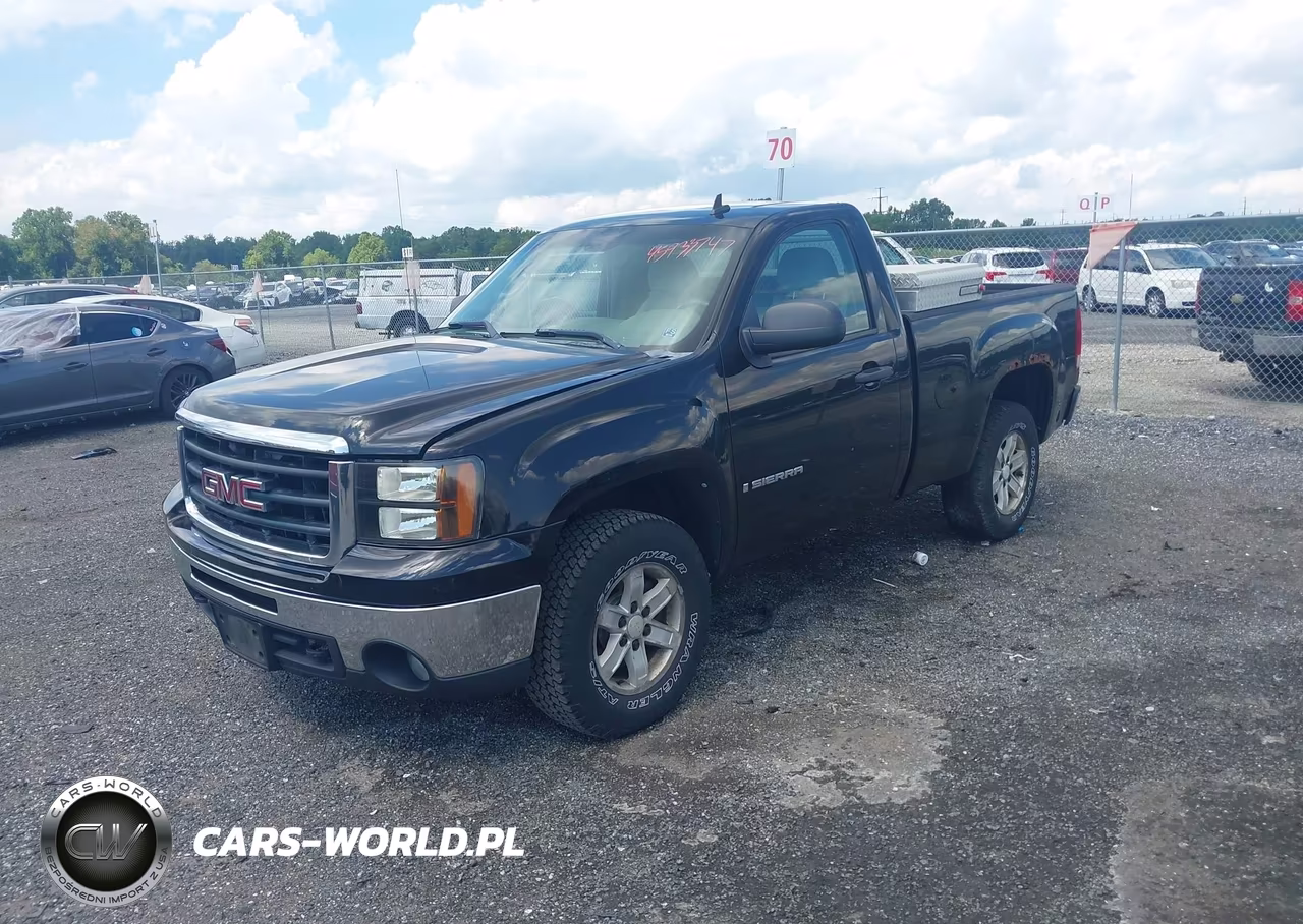 2009 GMC Sierra 1500 Sle VIN:1GTEK24099Z221143 - 2
