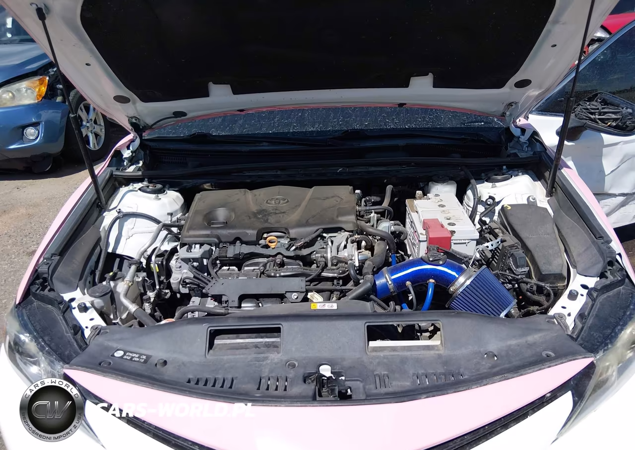 2019 Toyota Camry Le VIN:4T1B11HK7KU239182 - 10
