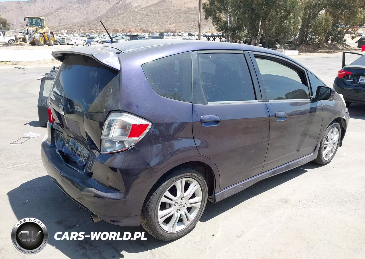 2010 Honda Fit Sport VIN:JHMGE8H46AC031547 - 4