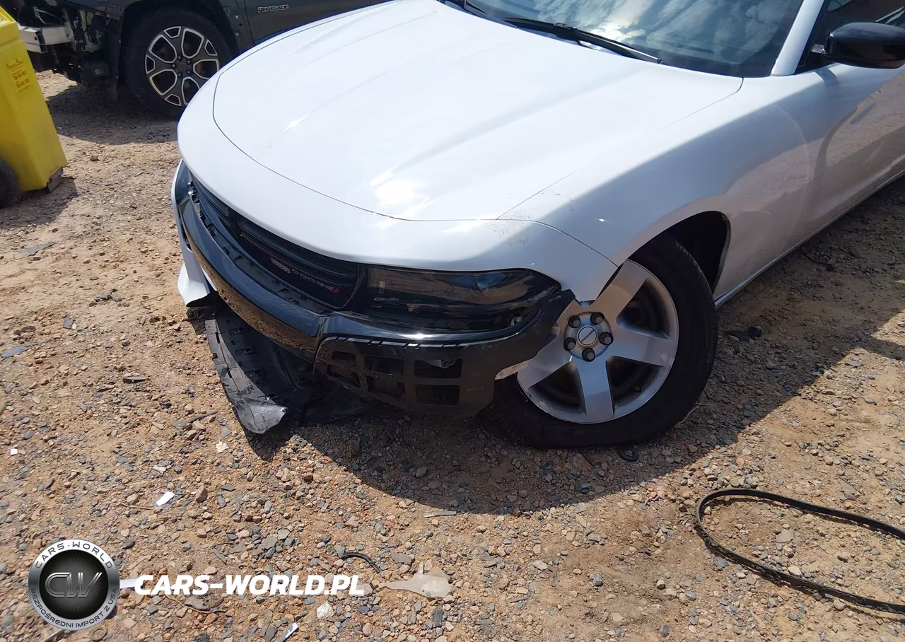 2023 Dodge Charger Police Rwd VIN:2C3CDXAT0PH535049 - 18