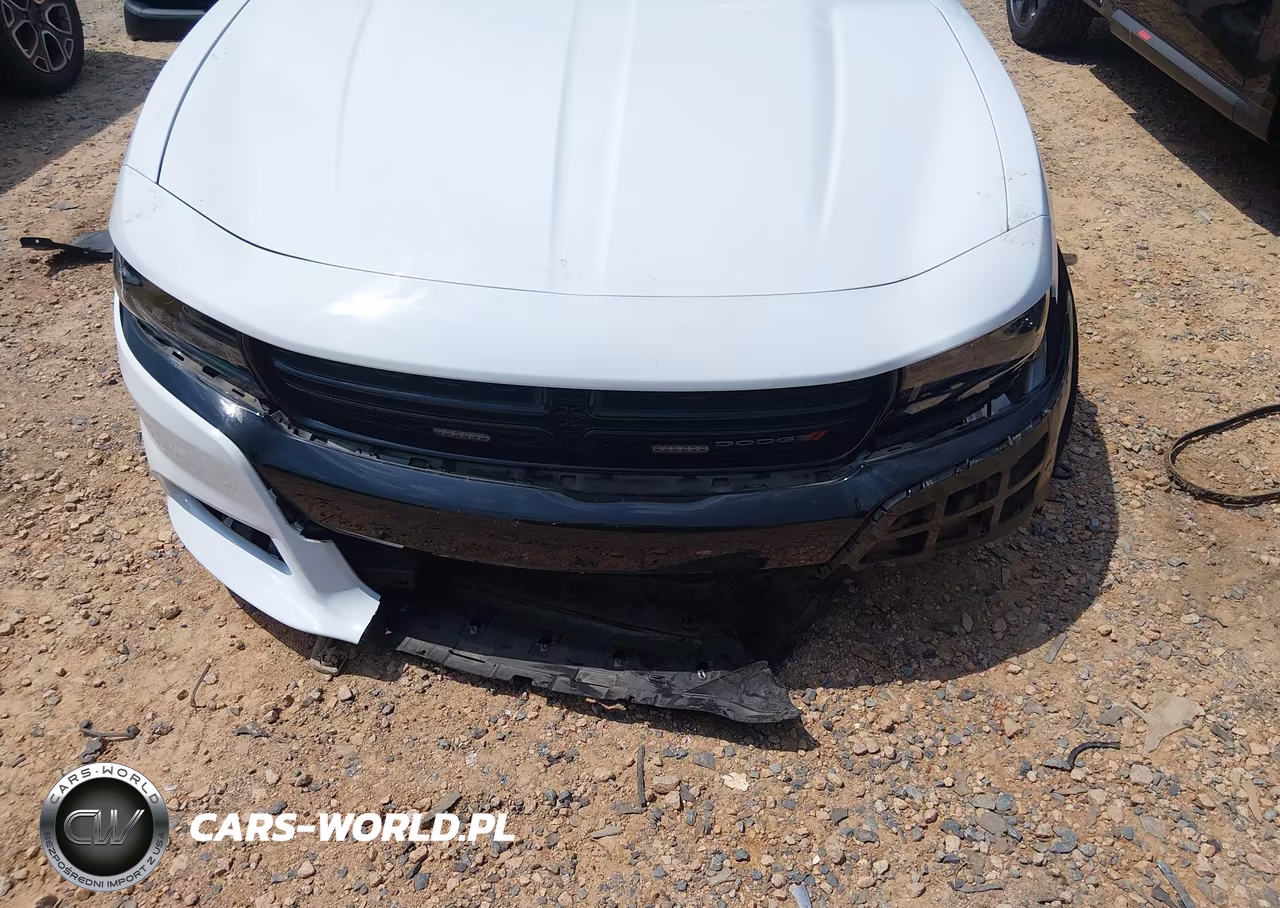 2023 Dodge Charger Police Rwd VIN:2C3CDXAT0PH535049 - 6