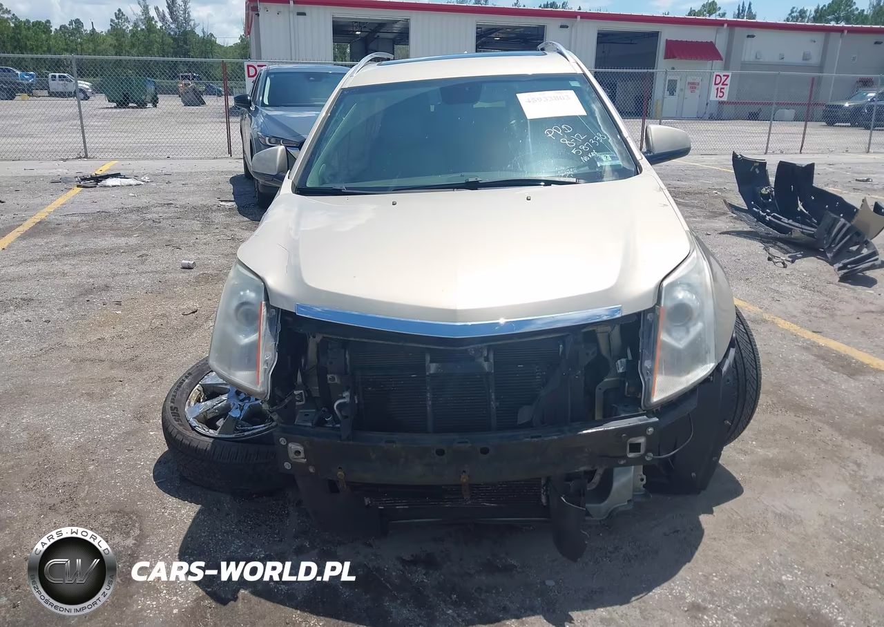 2010 Cadillac Srx Premium Collection VIN:3GYFNCEYXAS587338 - 12