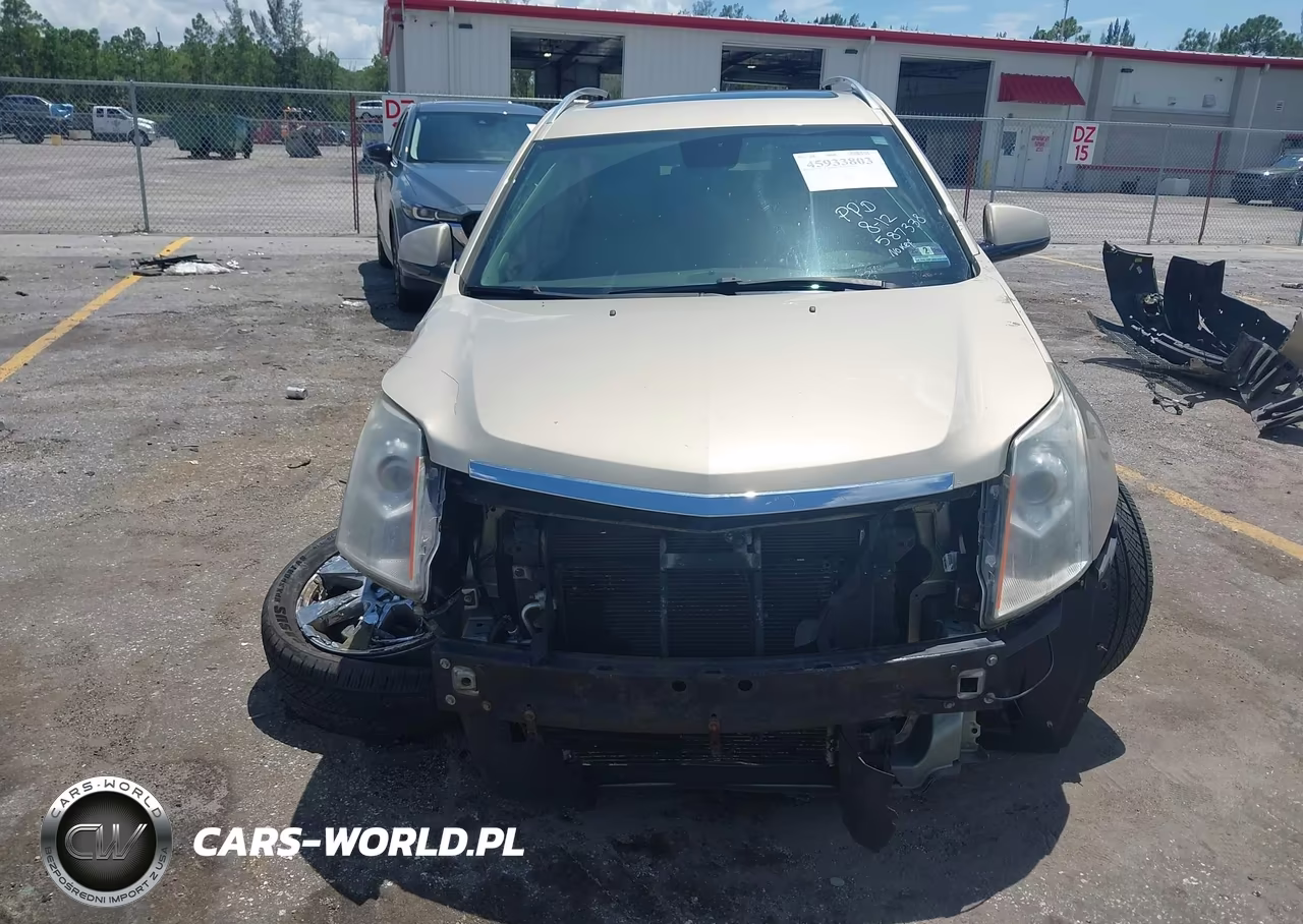 2010 Cadillac Srx Premium Collection VIN:3GYFNCEYXAS587338 - 6