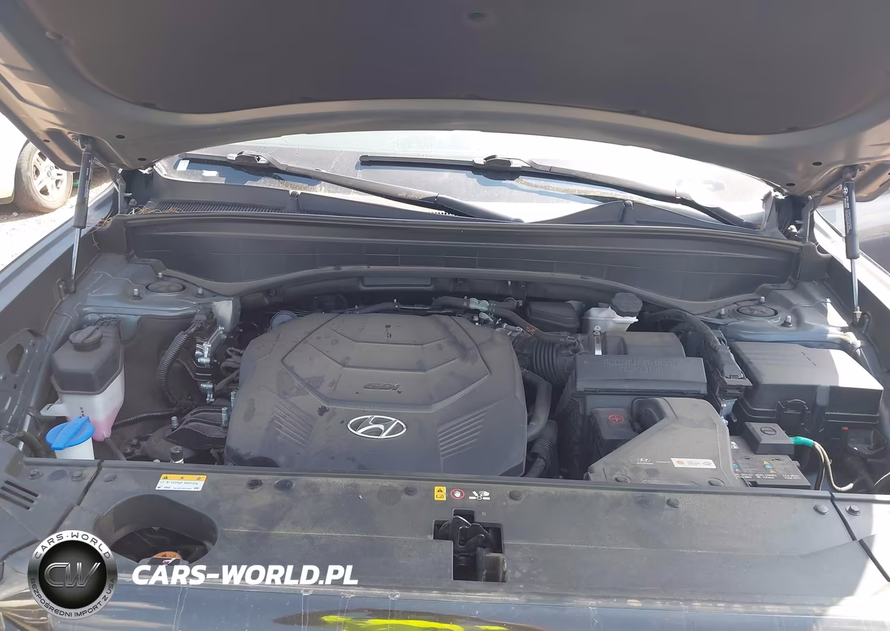2024 Hyundai Palisade Sel VIN:KM8R24GEXRU805354 - 10