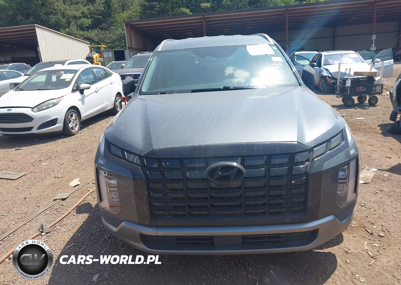 2024 Hyundai Palisade Sel VIN:KM8R24GEXRU805354 - 13