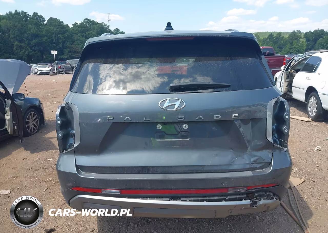 2024 Hyundai Palisade Sel VIN:KM8R24GEXRU805354 - 17