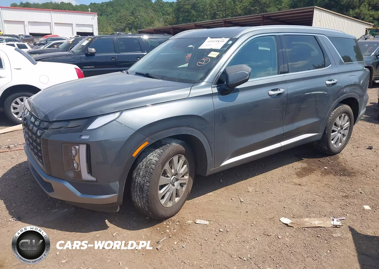 2024 Hyundai Palisade Sel VIN:KM8R24GEXRU805354 - 2