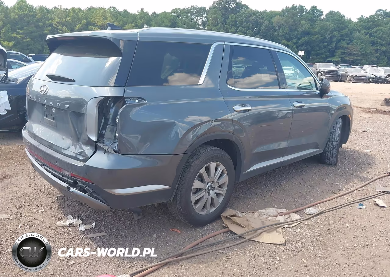 2024 Hyundai Palisade Sel VIN:KM8R24GEXRU805354 - 4