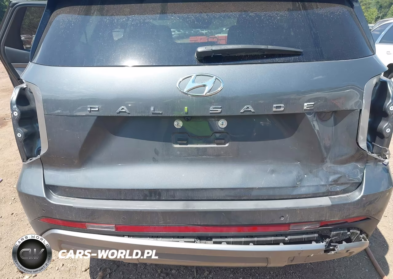 2024 Hyundai Palisade Sel VIN:KM8R24GEXRU805354 - 6