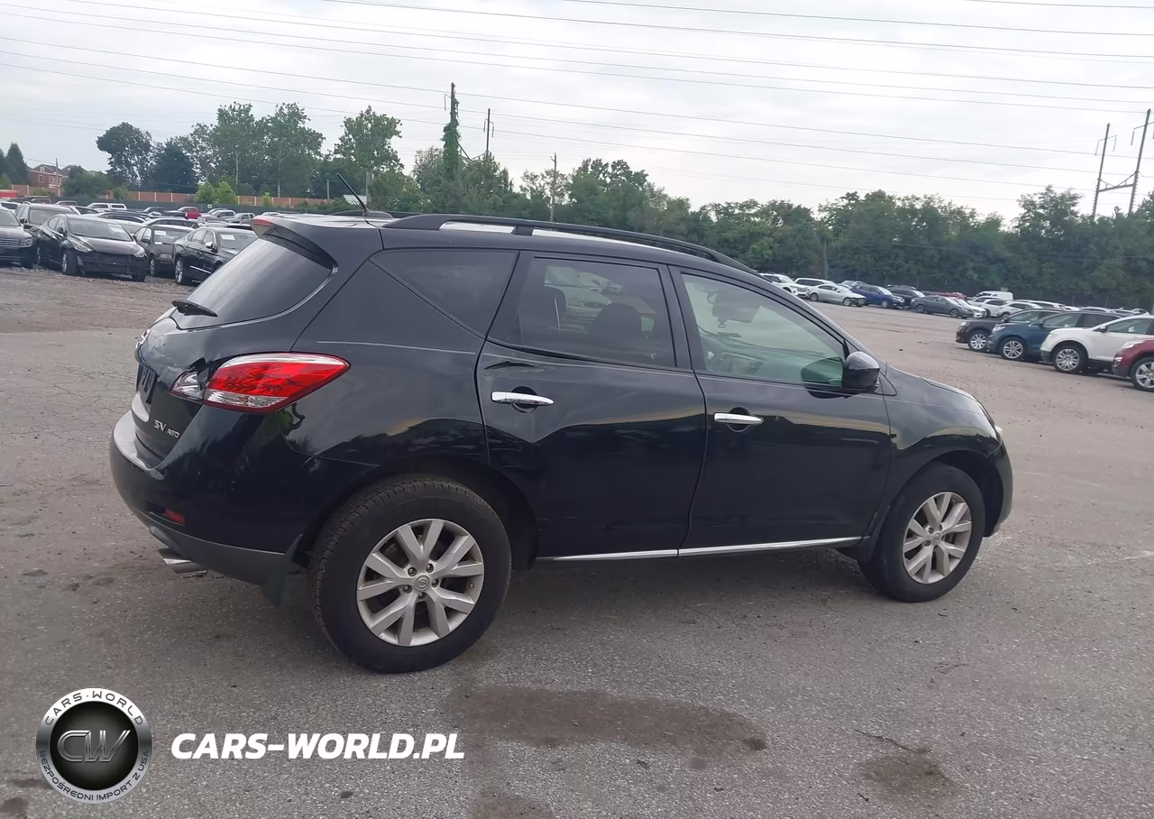 2013 Nissan Murano Sv VIN:JN8AZ1MW7DW302729 - 12