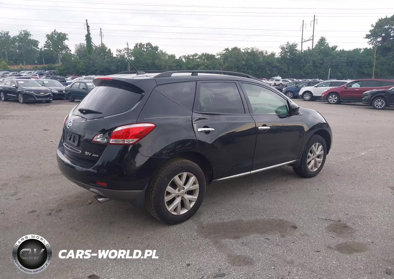 2013 Nissan Murano Sv VIN:JN8AZ1MW7DW302729 - 6