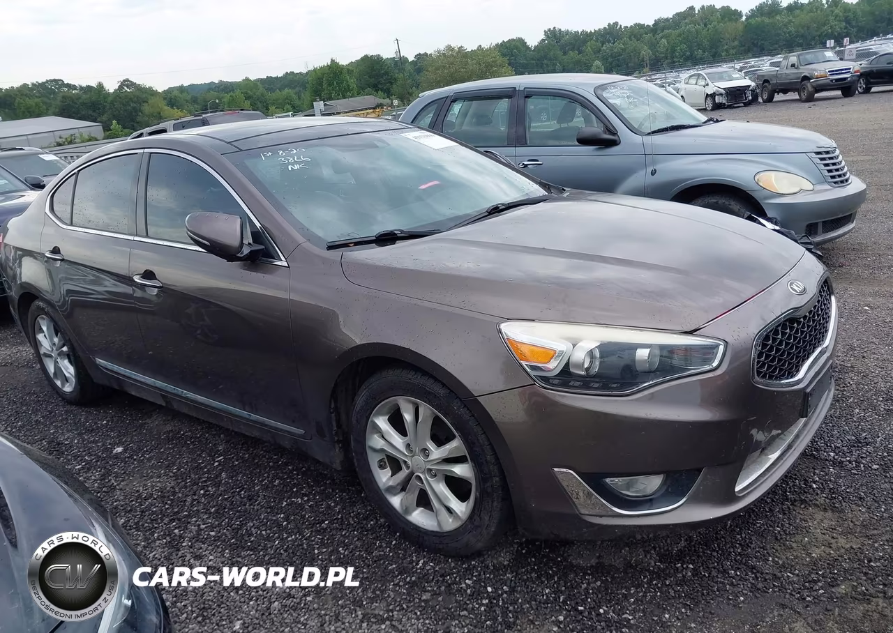 2014 Kia Cadenza Premium