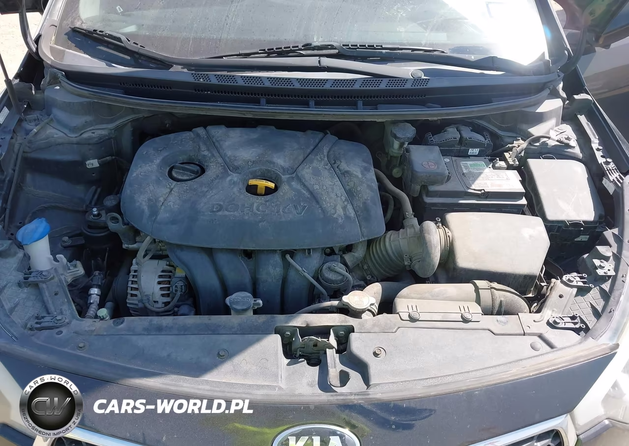 2016 Kia Forte Lx VIN:KNAFK4A66G5584185 - 10