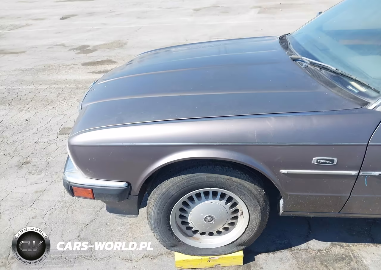 1991 Jaguar Xj6 Sovereign VIN:SAJHY1741MC640346 - 6