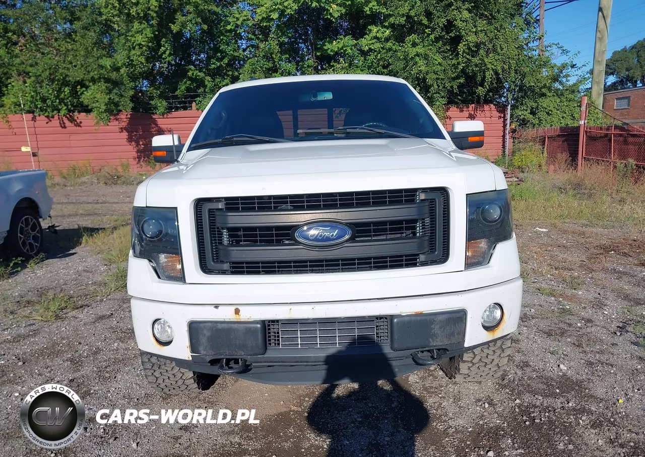 2013 Ford F-150 Fx4 VIN:1FTFW1ETXDFB66045 - 12
