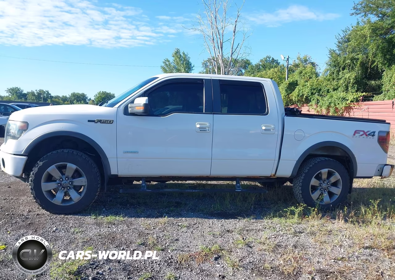 2013 Ford F-150 Fx4 VIN:1FTFW1ETXDFB66045 - 14