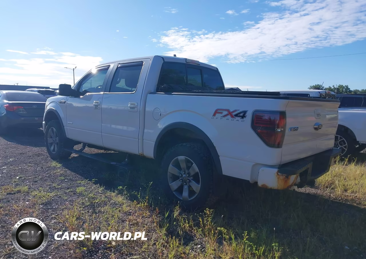 2013 Ford F-150 Fx4 VIN:1FTFW1ETXDFB66045 - 3