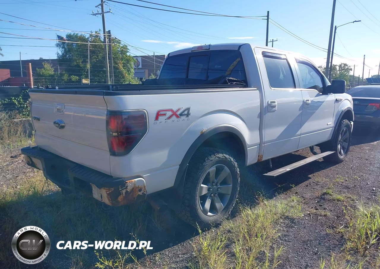 2013 Ford F-150 Fx4 VIN:1FTFW1ETXDFB66045 - 4