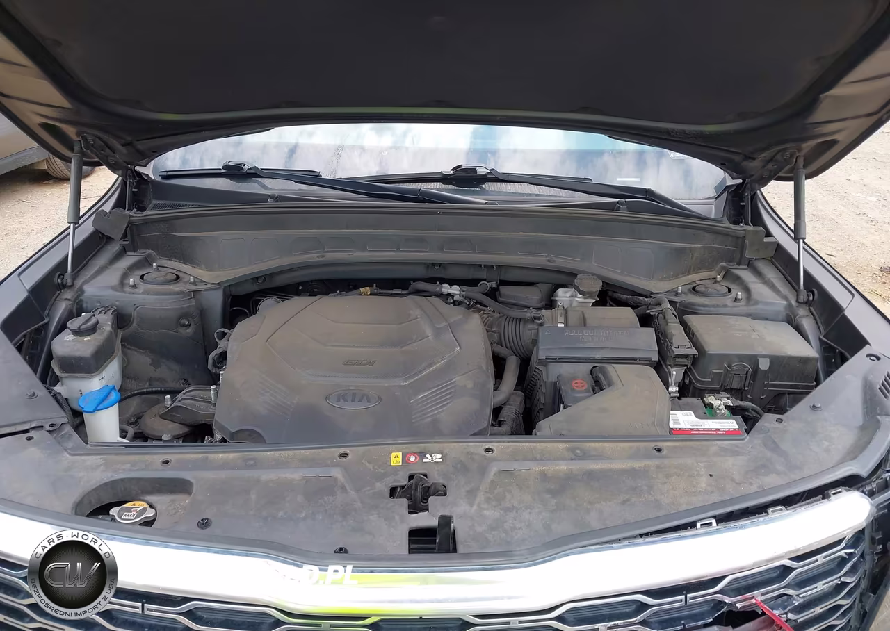 2020 Kia Telluride Sx VIN:5XYP54HCXLG068343 - 10