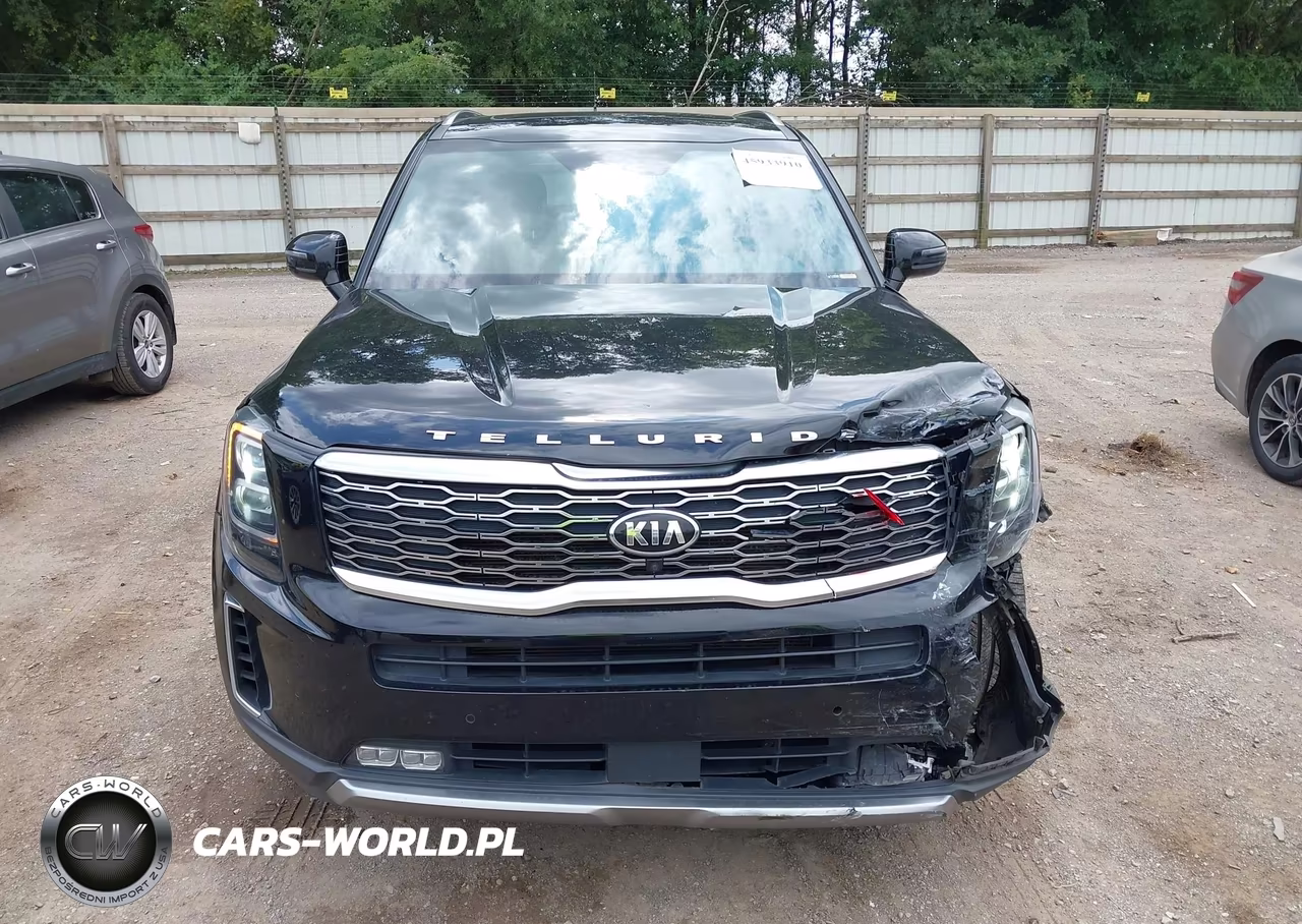 2020 Kia Telluride Sx VIN:5XYP54HCXLG068343 - 12